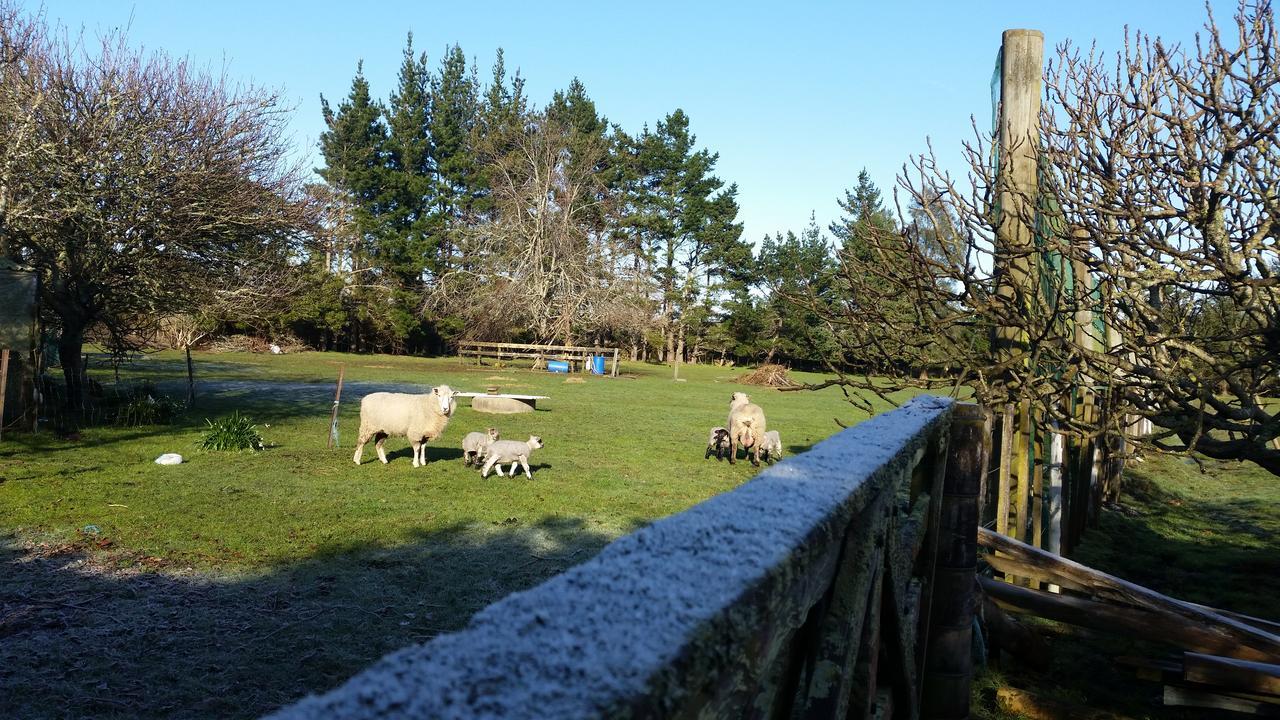 Woodbury Farm Bed and Breakfast Takanini Exteriör bild